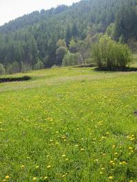 Natura Valtellina