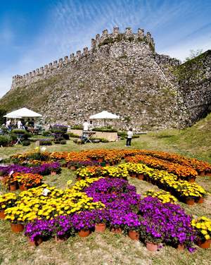 Lonato, Fiori nella Rocca