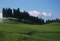 Poggio dei Medici: campo da Golf