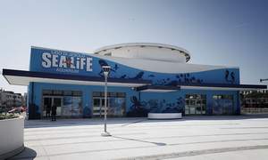 Sea Life Jesolo