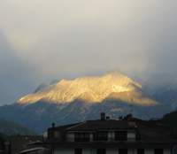 Aprica