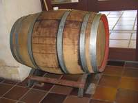 Botte