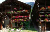 Case walser ad Alagna