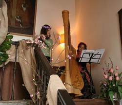 In Primavera: fiori, acque e castelli
