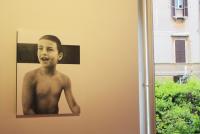 ELVIO CHIRICOZZI, Ci&ograve; che non muta, 2010, fustelle di carta su legno, cm 46x62