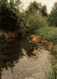 Fontanili di Valle Re - IAT Informazione e Accoglienza Turistica Reggio Emilia