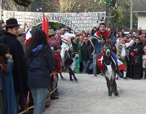 Palio degli asini