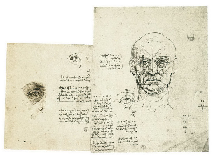 Leonardo da Vinci. Studi proporzioni del volto e dell'occhio, con note Biblioteca Reale, Torino