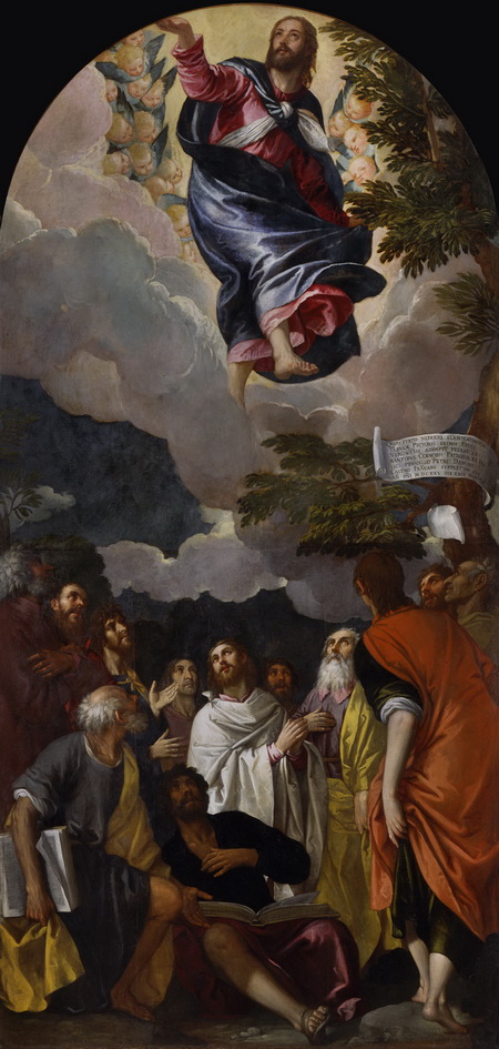 Paolo Veronese e Pietro Damini L’Ascensione di Cristo Olio su tela, cm 391 x 188 Padova, chiesa di San Francesco