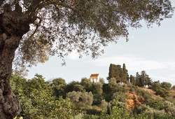 Luca Capuano. Agrigento
