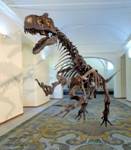 Museo di Paleontologia di Napoli