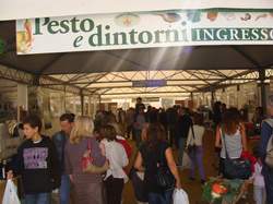 Pesto e dintorni 
