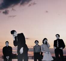 Pulp