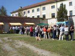 Rice, i sapori del riso a Vigevano, Pavia