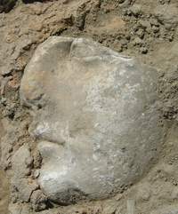 Frammento di testa femminile marmo bianco a grana fine Provenienza: Tivoli, santuario di Ercole Vincitore, fornace