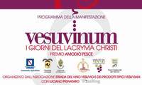 Vesuvinum 2010  a Napoli
