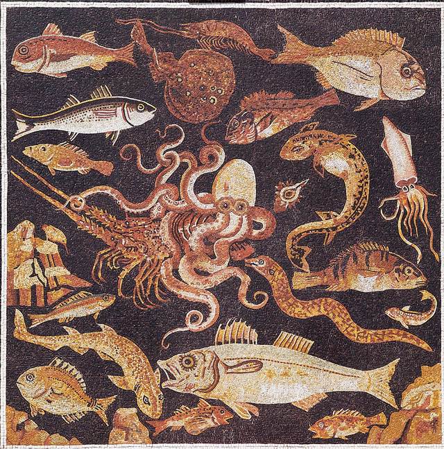 Decalogo dei pesci: copia di mosaico pompeiano - Scuola Mosaicisti di Spilimbergo (PN)