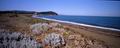 san vincenzo san vincenzo