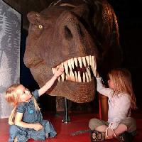 Dinosauri 2