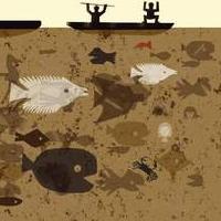 Le Immagini della Fantasia - Mostra illustrazioni per l'infanzia 2010