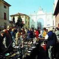 Mercato di Cherasco