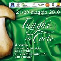 Funghi in Corte 2010 a Cerreto Sannita (BN)