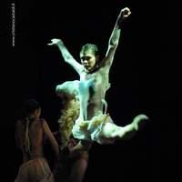 Spellbound. Foto di C. Castaldi
