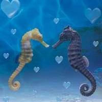 San Valentino a Gardaland Sea Life