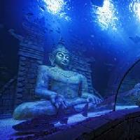 Sea Life Jesolo