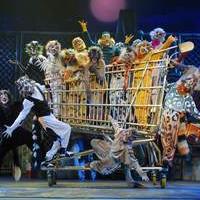 Cats il Musical - Compagnia della Rancia