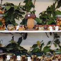 Autunno Pavese DOC, funghi