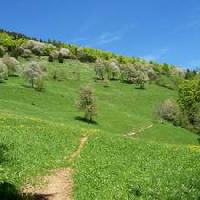 Panorama Val Brembana (BG) in primavera