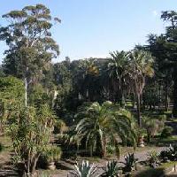 Orto Botanico di Portici - Napoli