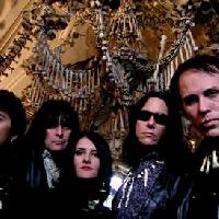 The Fuzztones