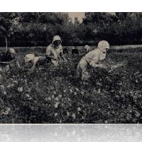 Generazioni di donne