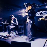 Bloom Mezzago