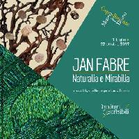 Jan Fabre - Naturalia e Mirabilia
