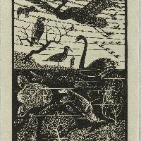 Maurits Cornelis Escher Il quinto giorno della creazione, 1926