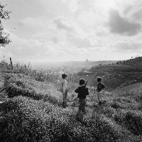 I piccoli guerrieri di Monte Mario