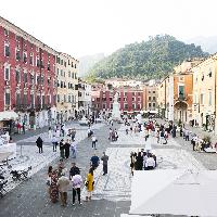 White Carrara 2026