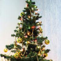 Albero di Natale