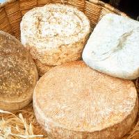 Formaggio Raschera DOP (Archivio A.T.L. del Cuneese)