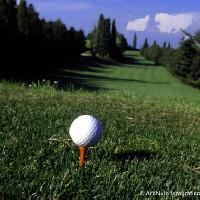 Golf la serra: Archivio fotografico Alexala - Foto Massimiliano Navarria