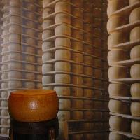 Parmigiano Reggiano - stagionatura