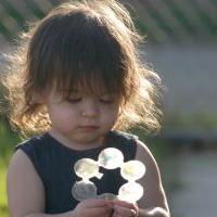 Bimba