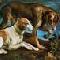 Due Cani. Jacopo Bassano