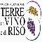 Parco Terre di Vino e di Riso - Novara