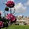Lonato del Garda, Fiori nella Rocca 2012