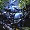 Cascata degli Scalandrini (Foto G. Giacobini - Archivio fotografico Parco Nazionale delle Foreste Casentinesi)