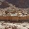 San Nicola. Le Icone del Sinai